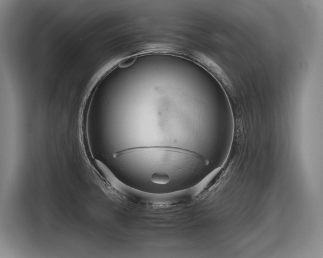 X0000116681427200912211615