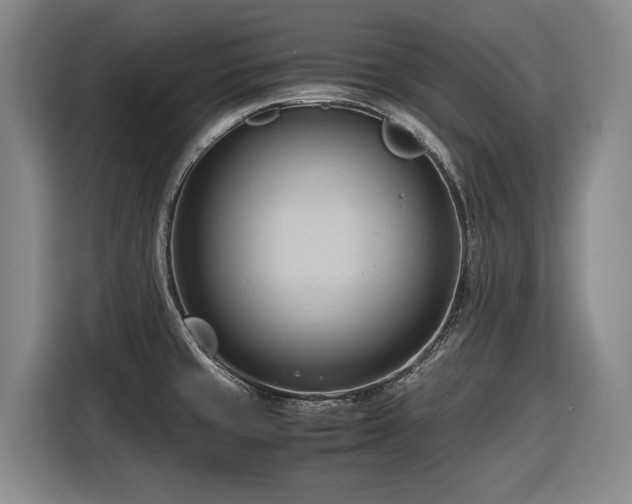 X0000116681429200912211615