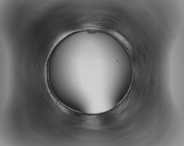 X0000116681431200912211615