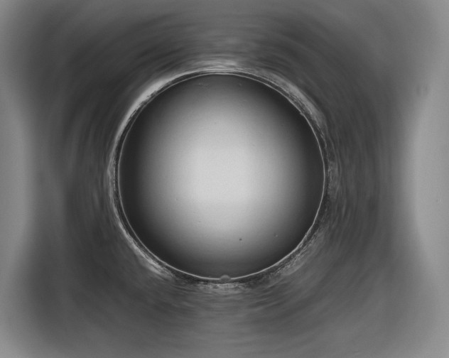 X0000116681432200912211615