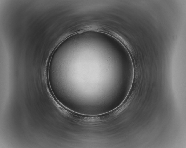 X0000116681434200912211615