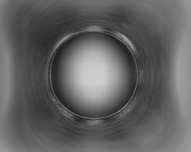 X0000116681435200912211615