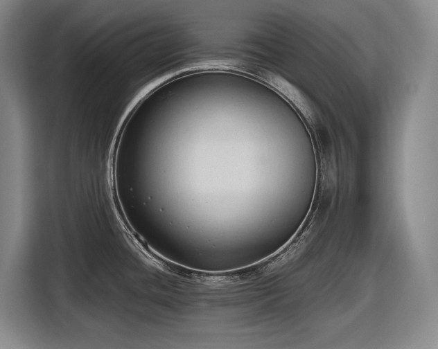 X0000116681436200912211615