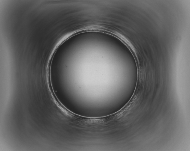 X0000116681437200912211615