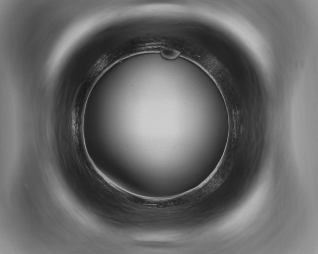 X0000116681438200912211615