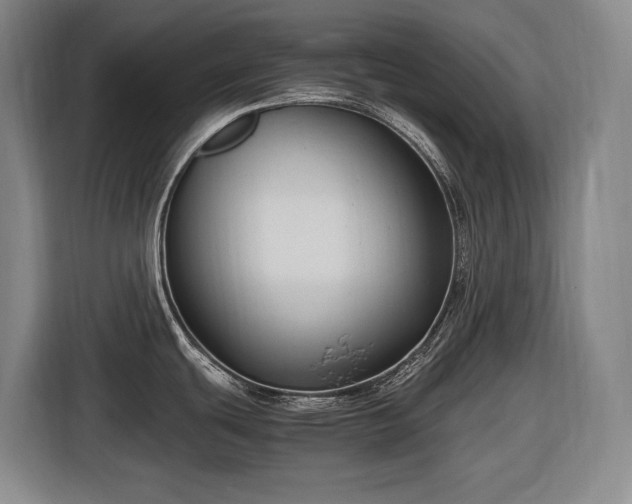 X0000116681439200912211615