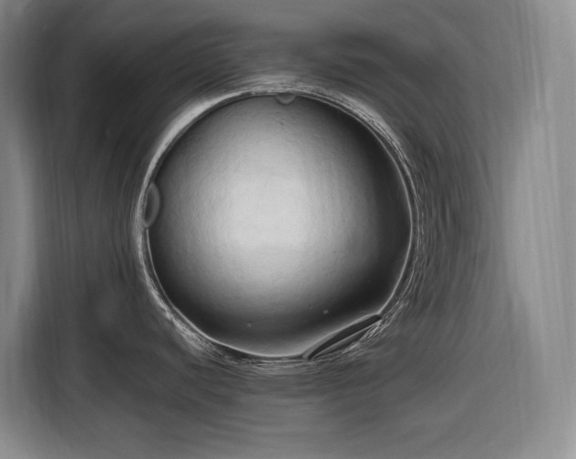 X0000116681440200912211615