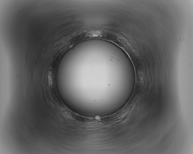 X0000116681442200912211614