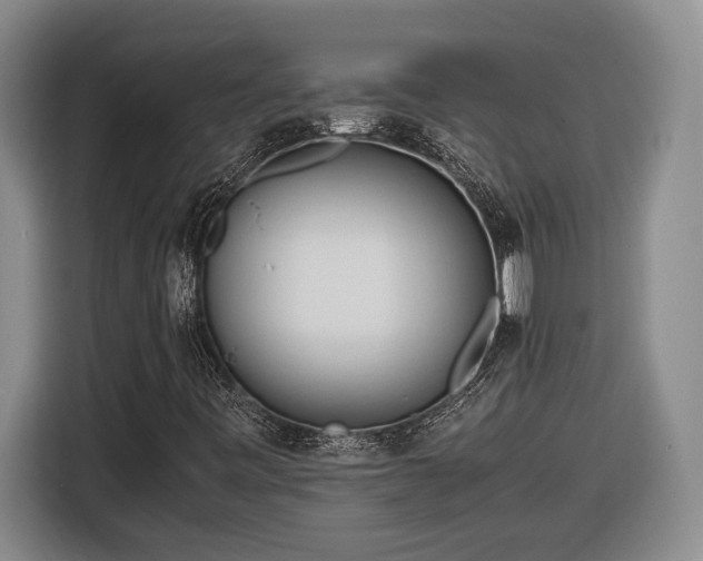 X0000116681443200912211614