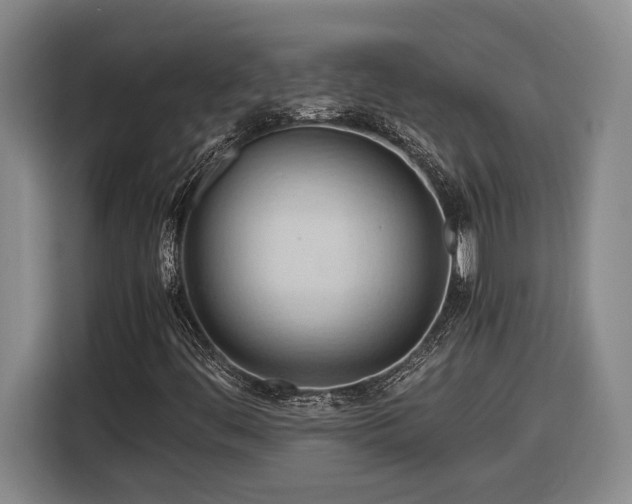 X0000116681444200912211614