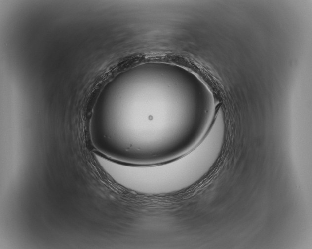 X0000116681445200912211614