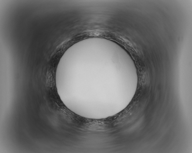 X0000116681446200912211614