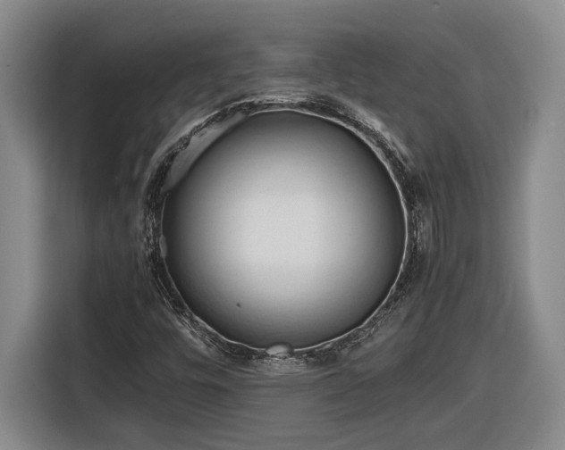 X0000116681448200912211614