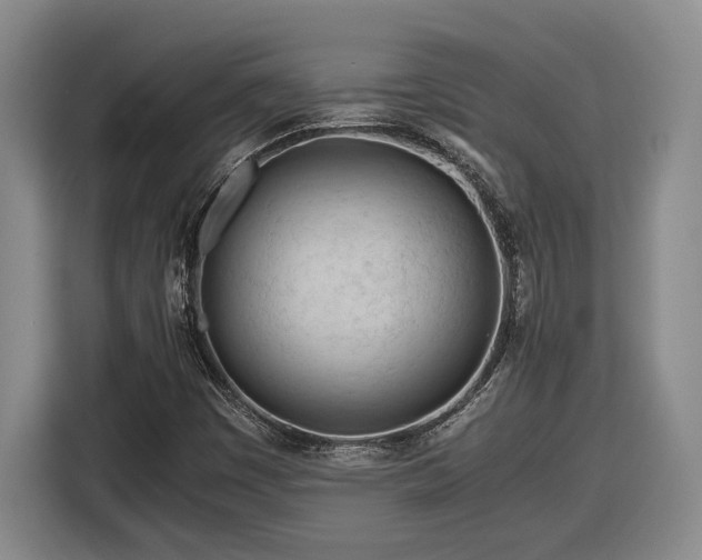 X0000116681449200912211614