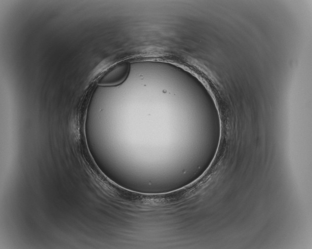 X0000116681451200912211614