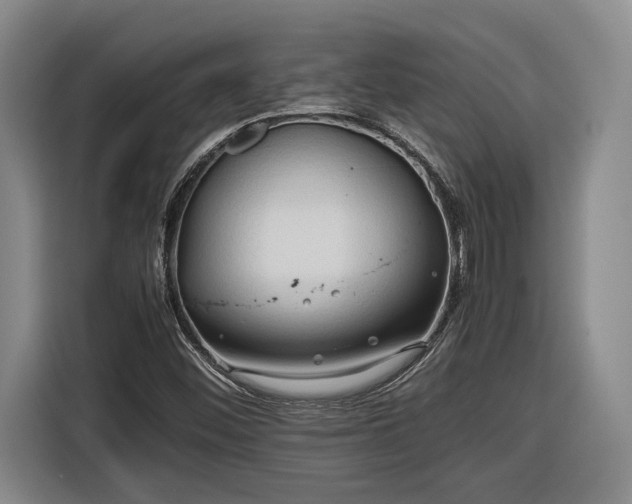 X0000116681452200912211614