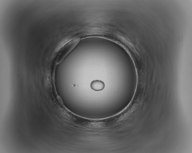 X0000116681453200912211614