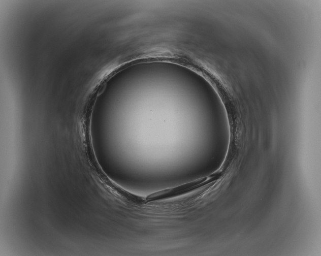 X0000116681455200912211614