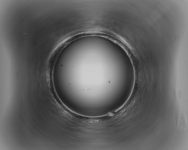 X0000116681456200912211614