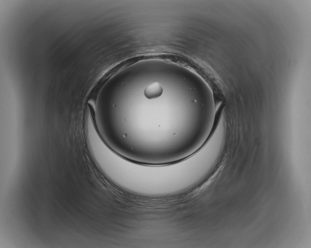 X0000116681457200912211614