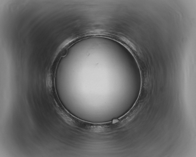 X0000116681458200912211614