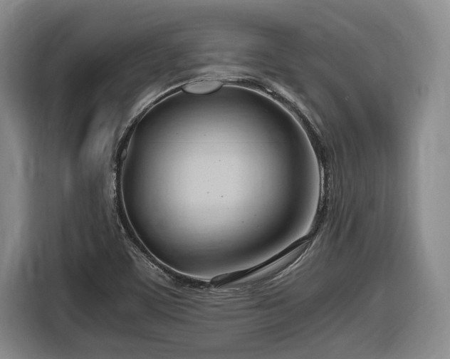 X0000116681459200912211614