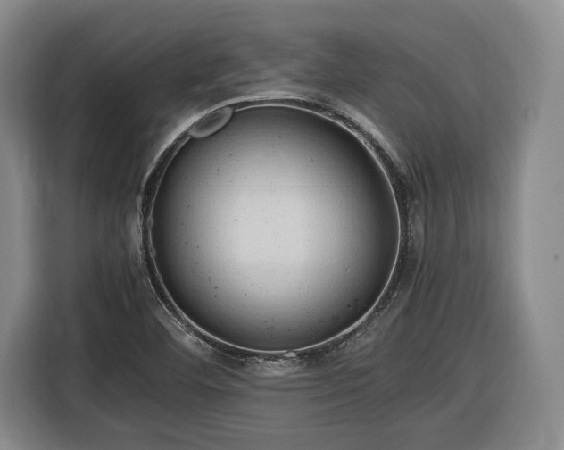 X0000116681460200912211614