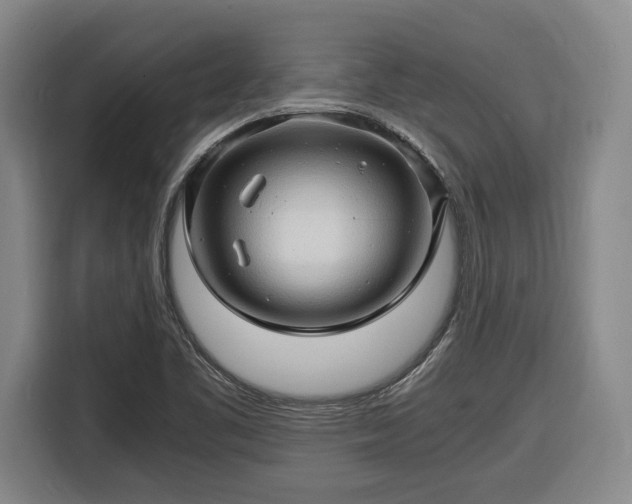 X0000116681461200912211614