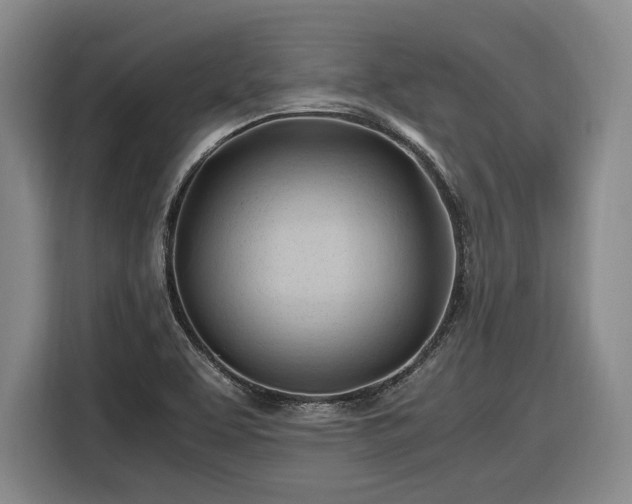 X0000116681463200912211614