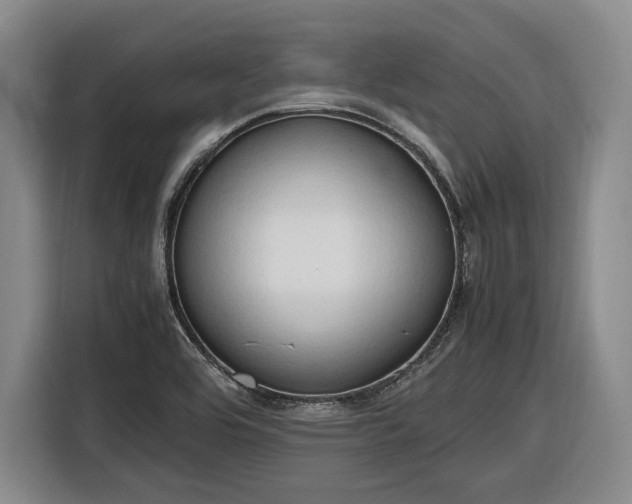 X0000116681464200912211614