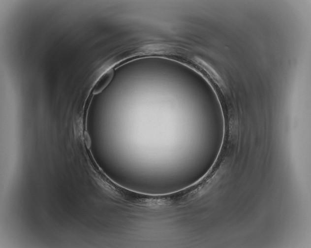 X0000116681465200912211614