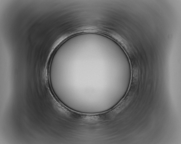 X0000116681466200912211614