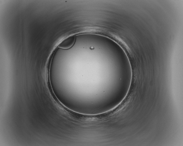 X0000116681467200912211614