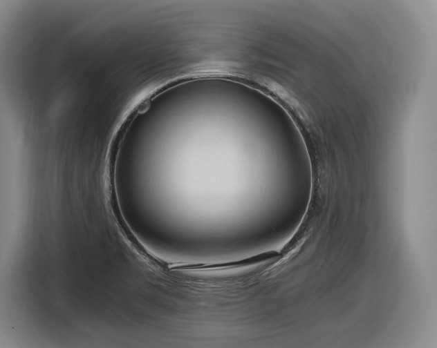 X0000116681469200912211614