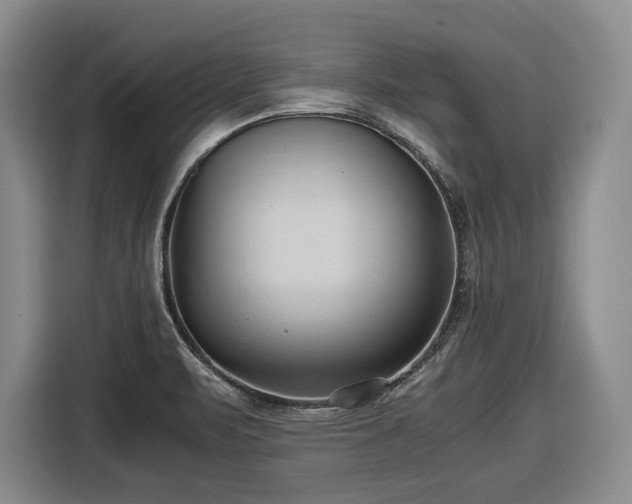 X0000116681471200912211614