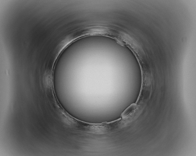 X0000116681473200912211614