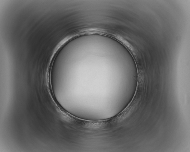 X0000116681474200912211614