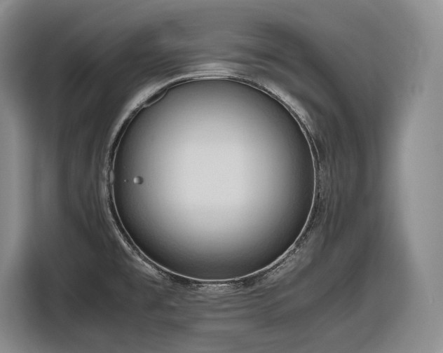 X0000116681477200912211614