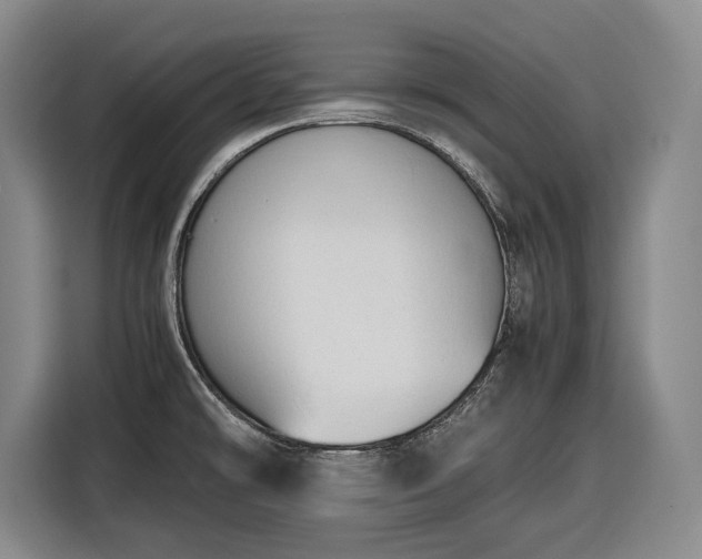 X0000116681478200912211614