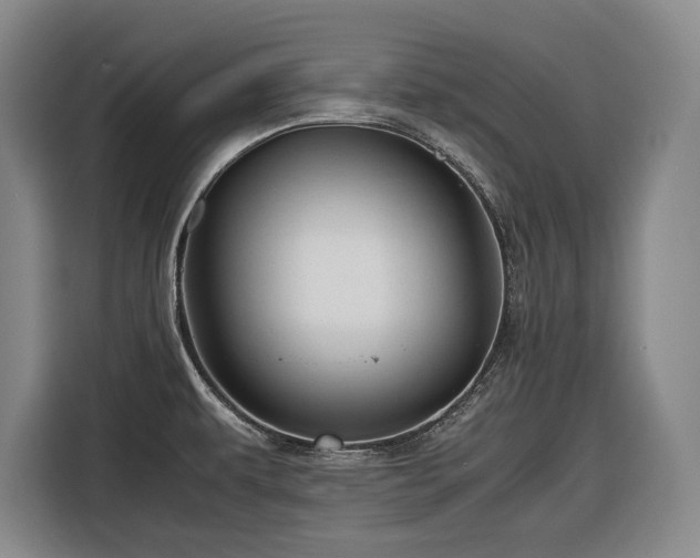 X0000116681479200912211614