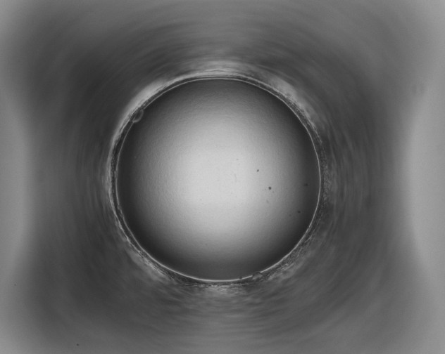 X0000116681480200912211614