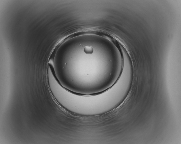 X0000116681481200912211614