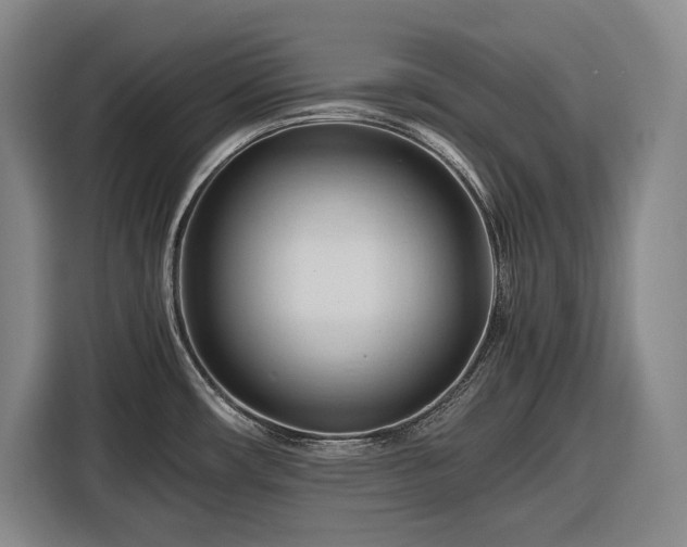 X0000116681482200912211614