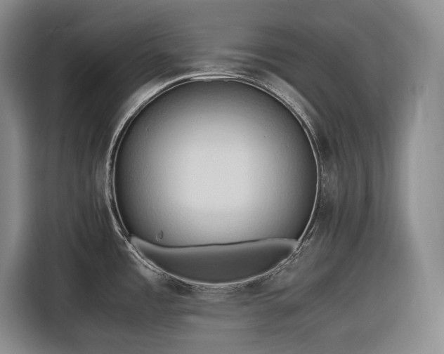 X0000116681485200912211614