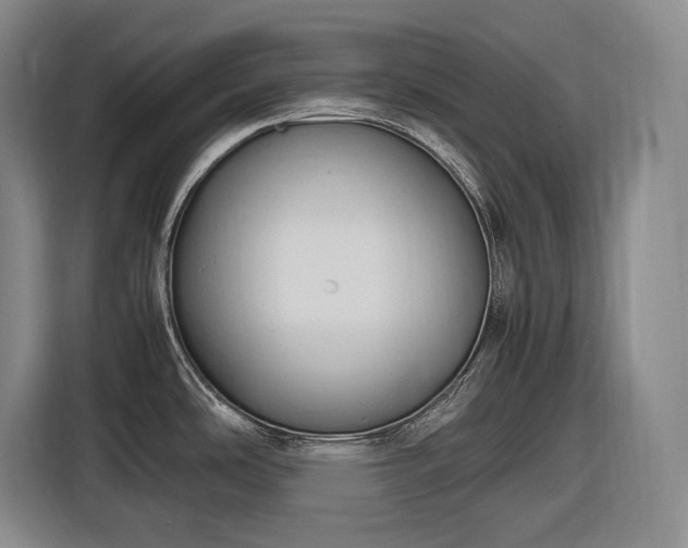 X0000116681486200912211614