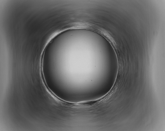 X0000116681487200912211614