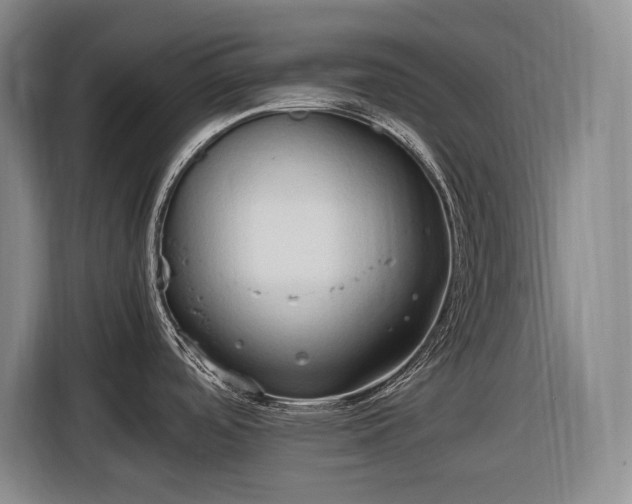 X0000116681488200912211614