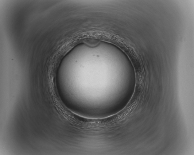 X0000116681489200912211613