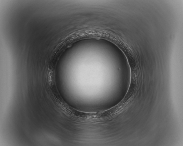 X0000116681490200912211613