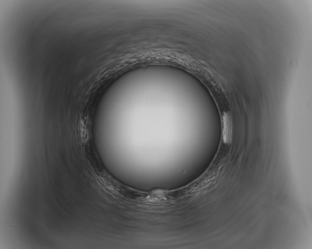 X0000116681491200912211613